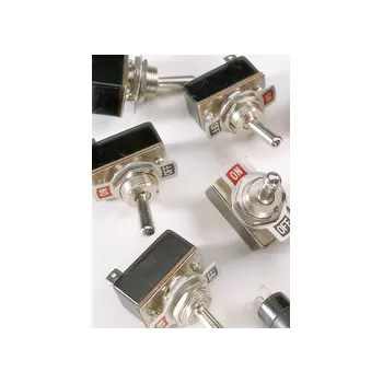 Toggle Switch - Modern Teaching Aids NZ