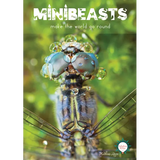 Minibeasts - Modern Teaching Aids NZ