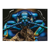 Minibeasts - Modern Teaching Aids NZ