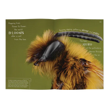 Minibeasts - Modern Teaching Aids NZ