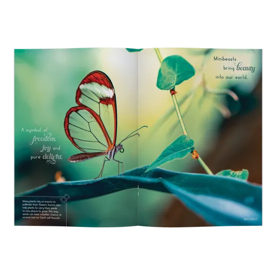 Minibeasts - Modern Teaching Aids NZ