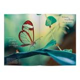 Minibeasts - Modern Teaching Aids NZ