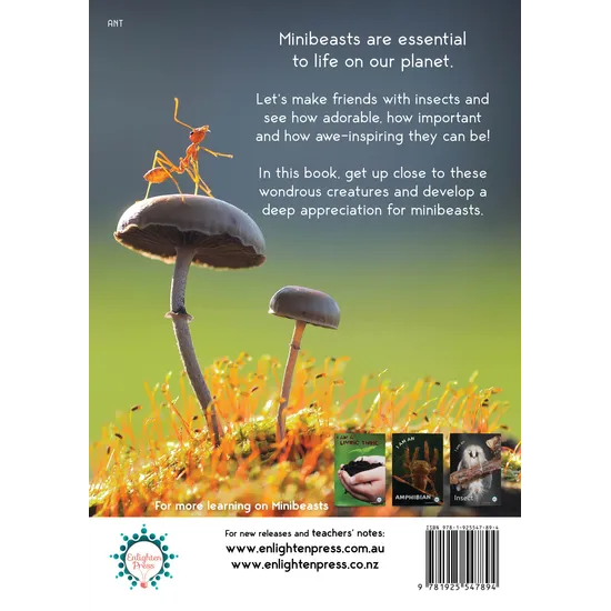 Minibeasts - Modern Teaching Aids NZ