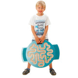 Trackboard Wire - Modern Teaching Aids NZ