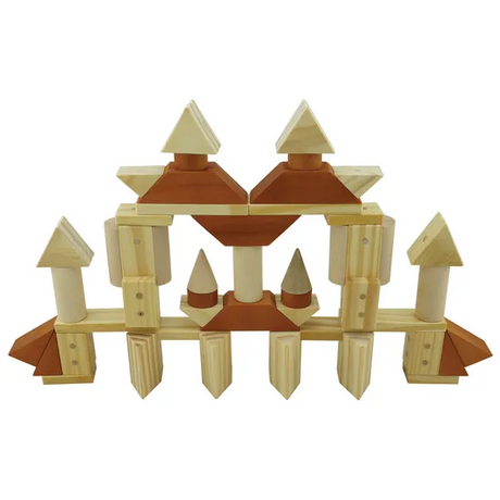 Magnetic Wooden Blocks Combo Set - 60 pieces - Modern Teaching Aids NZ