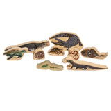 Reptiles in the Wild - 9 Pieces - Modern Teaching Aids NZ