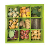Nature's Sorting Box - Modern Teaching Aids NZ