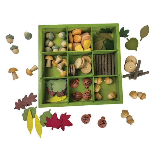 Nature's Sorting Box - Modern Teaching Aids NZ