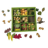 Nature's Sorting Box - Modern Teaching Aids NZ
