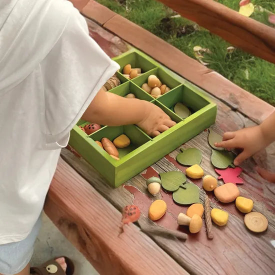 Nature's Sorting Box - Modern Teaching Aids NZ
