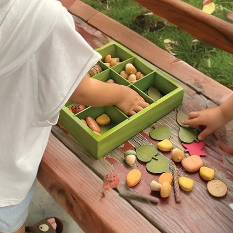 Nature's Sorting Box - Modern Teaching Aids NZ