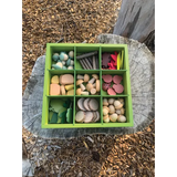Nature's Sorting Box - Modern Teaching Aids NZ