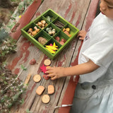 Nature's Sorting Box - Modern Teaching Aids NZ