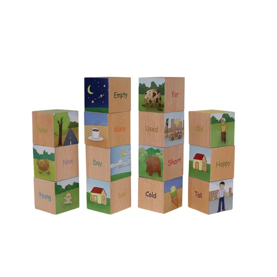 Learn and Turn  Opposite Blocks 16 Pieces