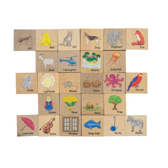 Freckled Frog  ABC Blocks - Modern Teaching Aids NZ