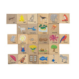 Freckled Frog  ABC Blocks - Modern Teaching Aids NZ