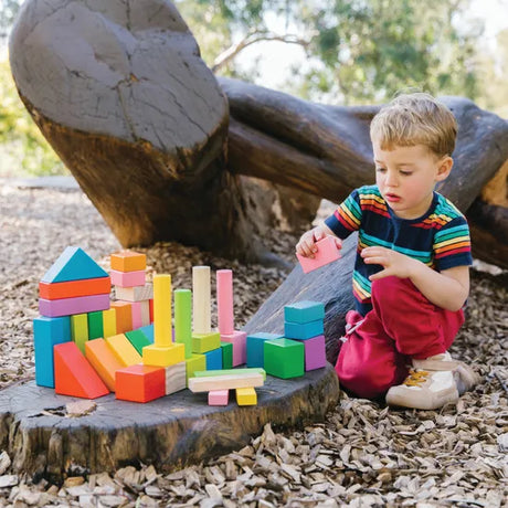 Colourful Wooden Blocks - 43 pieces - Modern Teaching Aids NZ