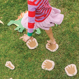 Chasing Dinosaurs - Modern Teaching Aids NZ