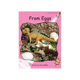 Pre-Reading Key Letters Non-Fiction Set A - Modern Teaching Aids NZ