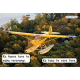 Te Reo MÄori Whero Non-Fiction Readers - Set