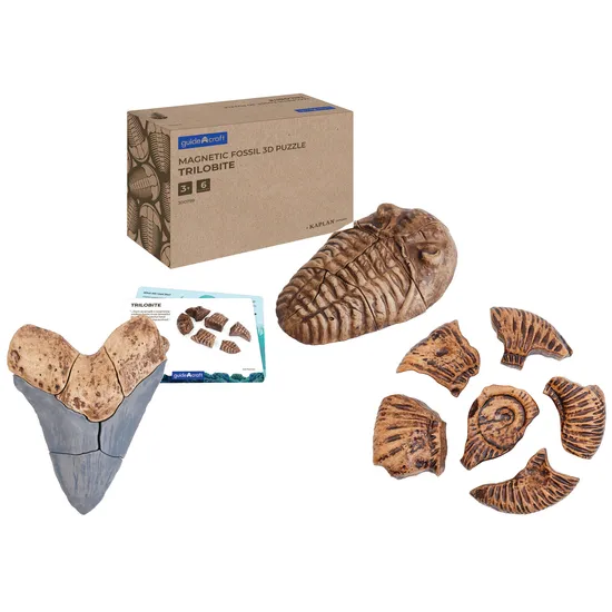 Complete Magnetic Fossil 3D Puzzle Set - Modern Teaching Aids NZ