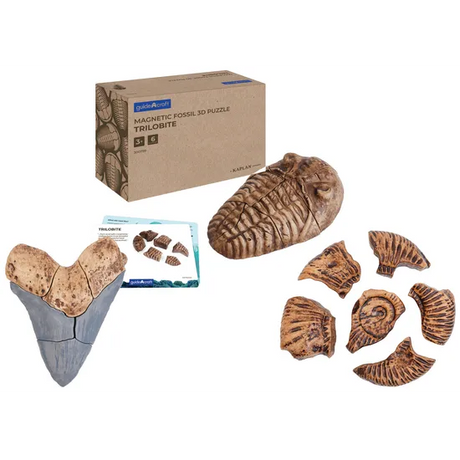 Complete Magnetic Fossil 3D Puzzle Set - Modern Teaching Aids NZ