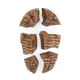 Complete Magnetic Fossil 3D Puzzle Set - Modern Teaching Aids NZ