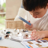 Specimen Stones: Bugs - Modern Teaching Aids NZ