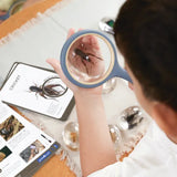 Specimen Stones: Bugs - Modern Teaching Aids NZ