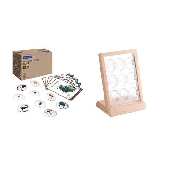 Bugs Specimen Stones with Stand - Modern Teaching Aids NZ