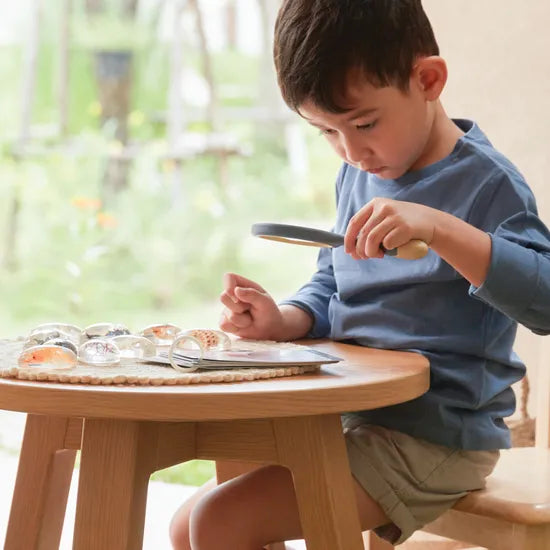 Specimen Stones: Sea Creatures - Modern Teaching Aids NZ