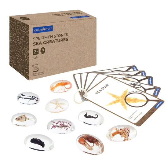 Specimen Stones: Sea Creatures - Modern Teaching Aids NZ