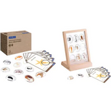 Sea Creatures Specimen Stones with Stand - Modern Teaching Aids NZ