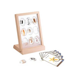 Sea Creatures Specimen Stones with Stand - Modern Teaching Aids NZ