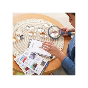 Sea Creatures Specimen Stones with Stand - Modern Teaching Aids NZ