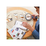 Sea Creatures Specimen Stones with Stand - Modern Teaching Aids NZ