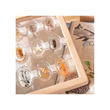 Sea Creatures Specimen Stones with Stand - Modern Teaching Aids NZ