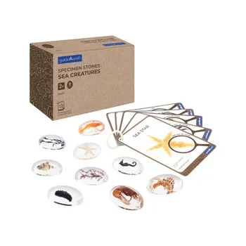 Sea Creatures Specimen Stones with Stand - Modern Teaching Aids NZ