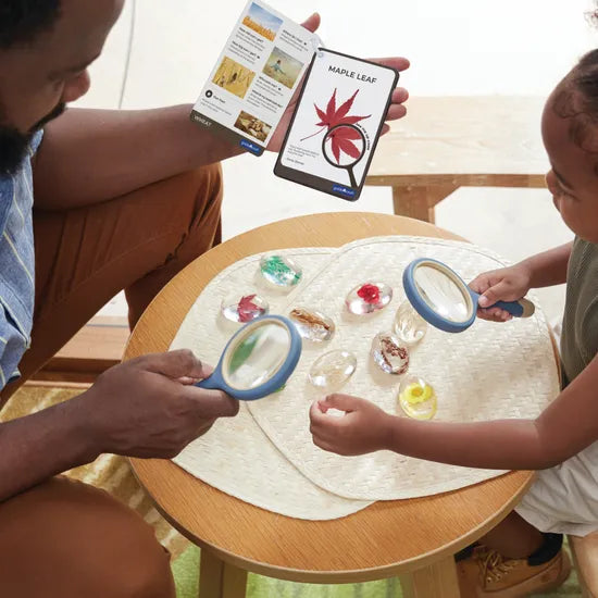 Specimen Stones: Plants - Modern Teaching Aids NZ