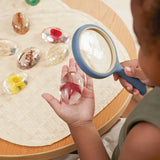 Specimen Stones: Plants - Modern Teaching Aids NZ