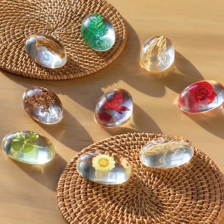 Specimen Stones: Plants - Modern Teaching Aids NZ