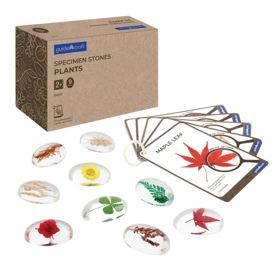 Specimen Stones: Plants - Modern Teaching Aids NZ