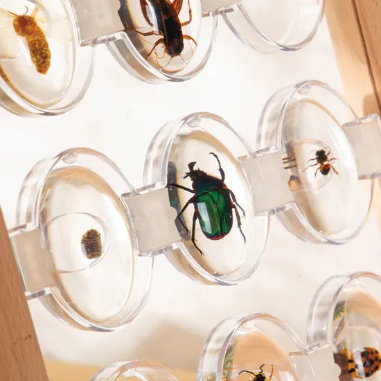 Specimen Stones Tabletop Stand - Modern Teaching Aids NZ