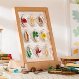 Specimen Stones Tabletop Stand - Modern Teaching Aids NZ