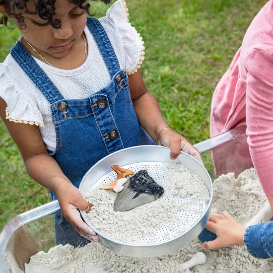 Super Shark Teeth Set - 40 Pieces - Modern Teaching Aids NZ
