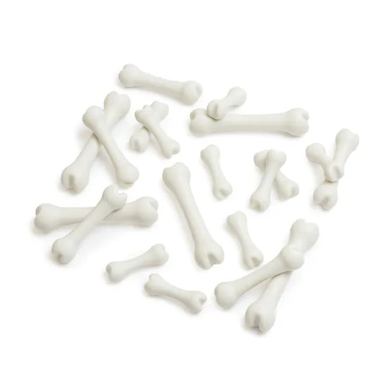 Big Bones Set - 20 Pieces - Modern Teaching Aids NZ