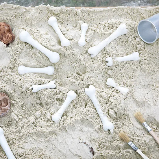 Big Bones Set - 20 Pieces - Modern Teaching Aids NZ