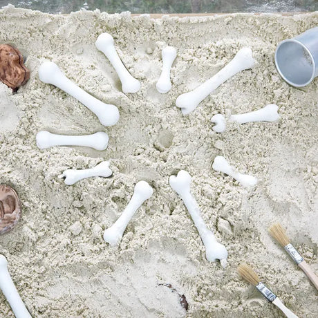 Big Bones Set - 20 Pieces - Modern Teaching Aids NZ