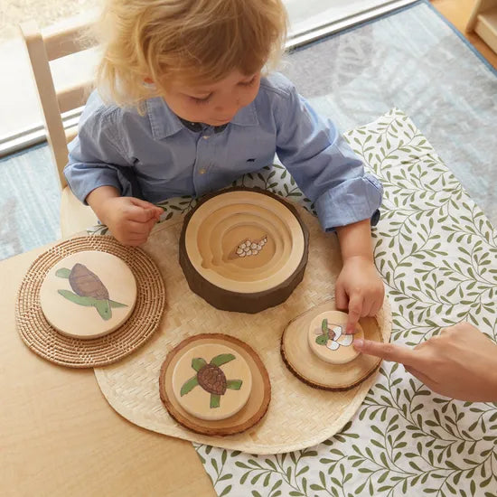 Lifecycle Puzzles - Set of 3 - Modern Teaching Aids NZ