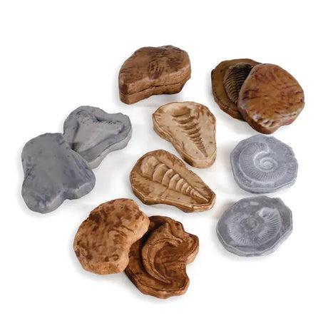 Magnetic Matching Fossil Stones - Set of 6 - Modern Teaching Aids NZ